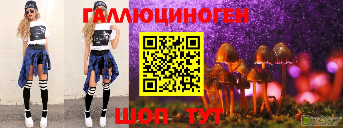 Псилоцибиновые грибы Psilocybe Назрань