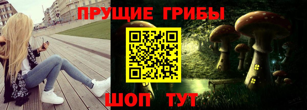 Галлюциногенные грибы Cubensis  купить закладку  Назрань  Вход с VPN 